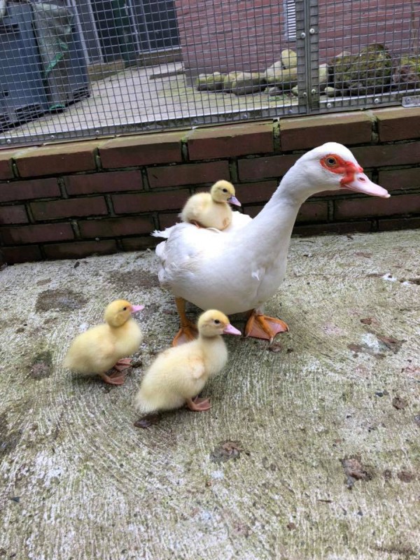Mama met kids Mama met kids