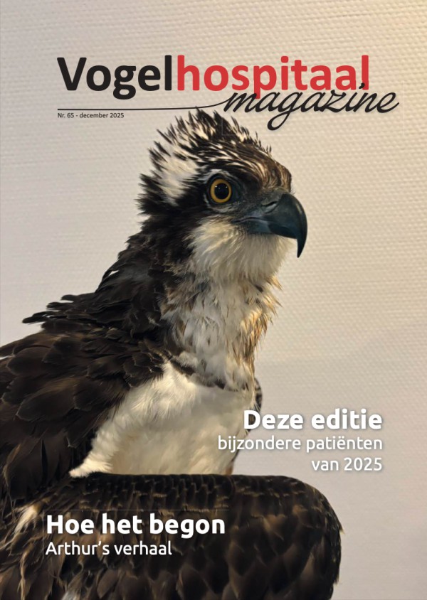 Nieuwe magzine is uit!
