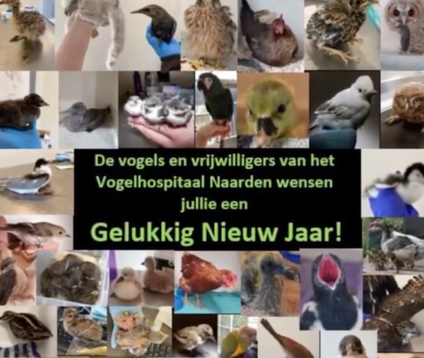 Nieuwjaarswens Nieuwjaarswens