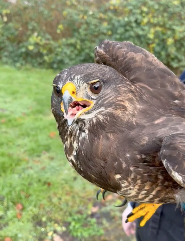 Terug naar buiten Terug naar buiten