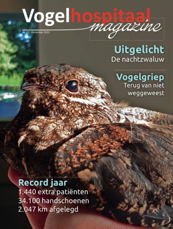 Nieuw magazine Nieuw magazine