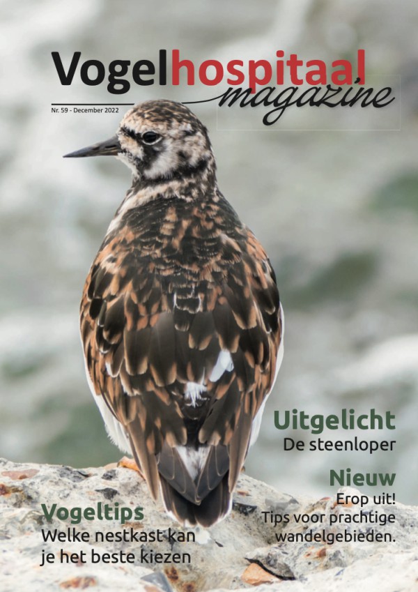 Magazine najaar 2022 Magazine najaar 2022