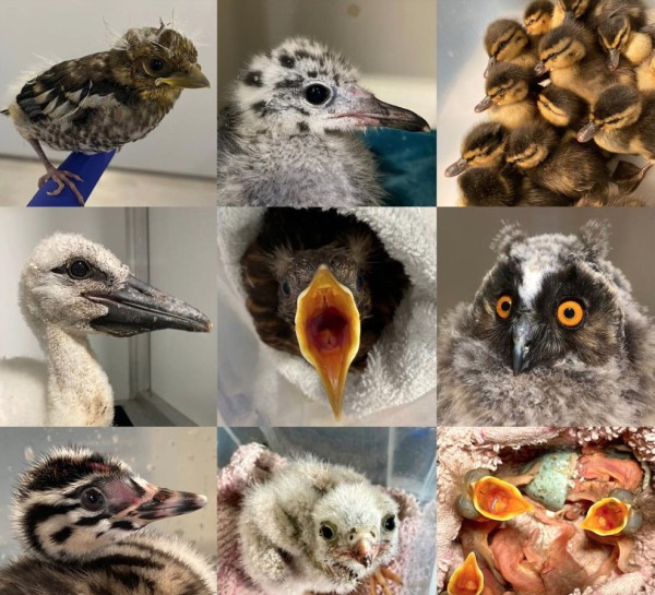 Word jij onze vrijwilliger? Word jij onze vrijwilliger?