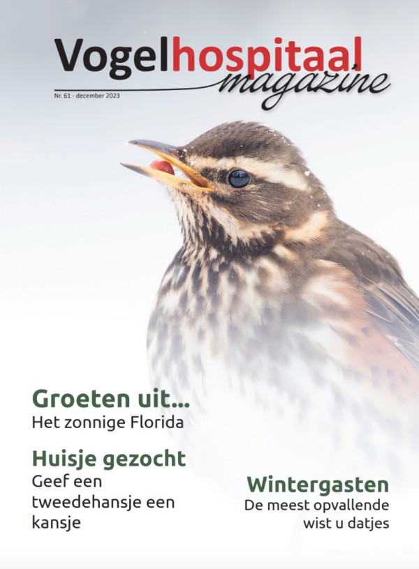 Magazine winter 2023 Magazine winter 2023