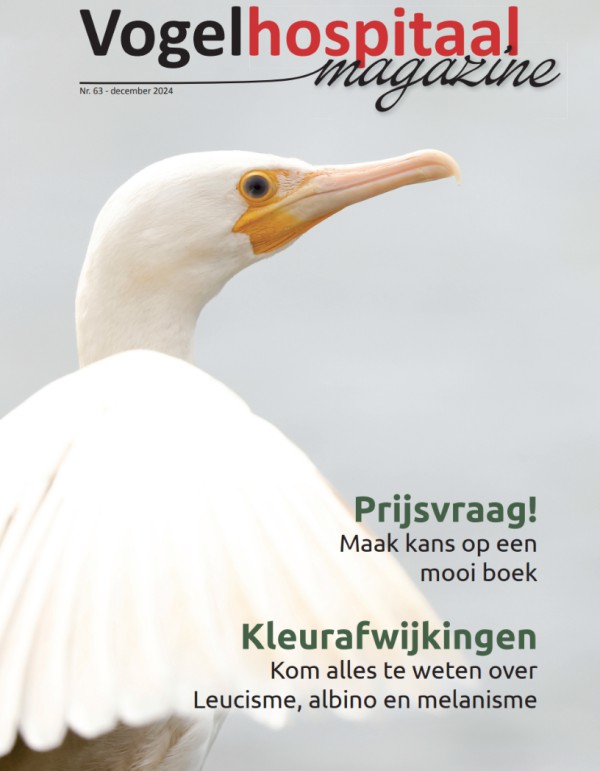 Magazine najaar 2024