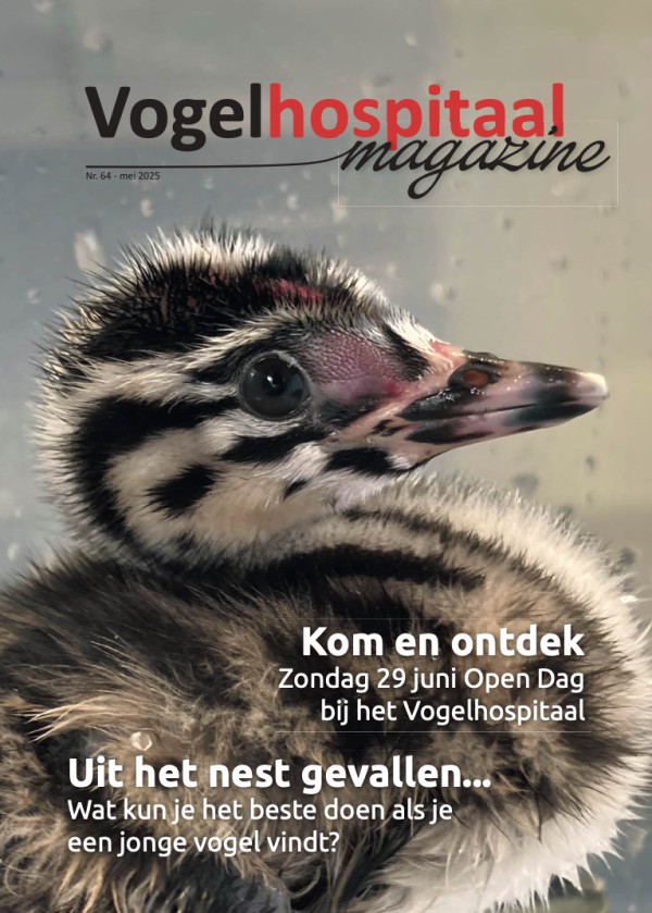 Magazine voorjaar 2025 Magazine voorjaar 2025