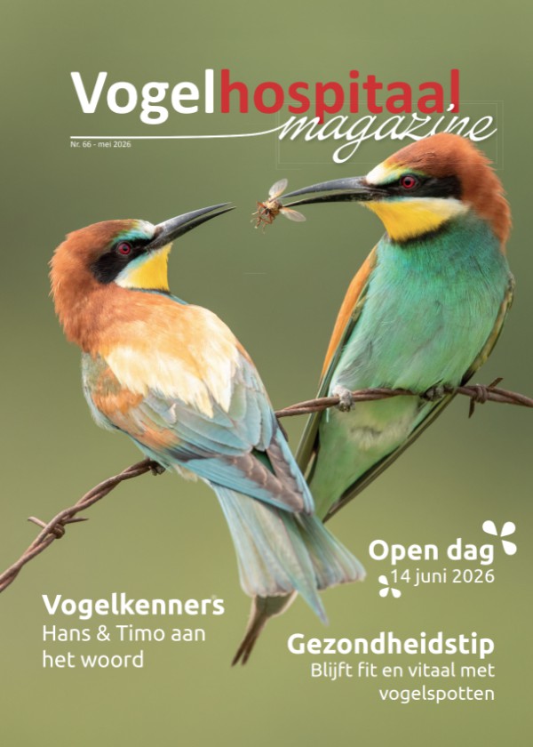 Magazine nr 66 - Kleur!