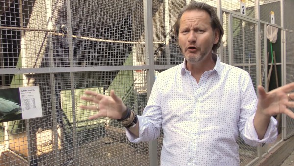 Wandel mee door het Vogelhospitaal Wandel mee door het Vogelhospitaal