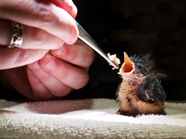 23 april vrijwilligersavond 23 april vrijwilligersavond