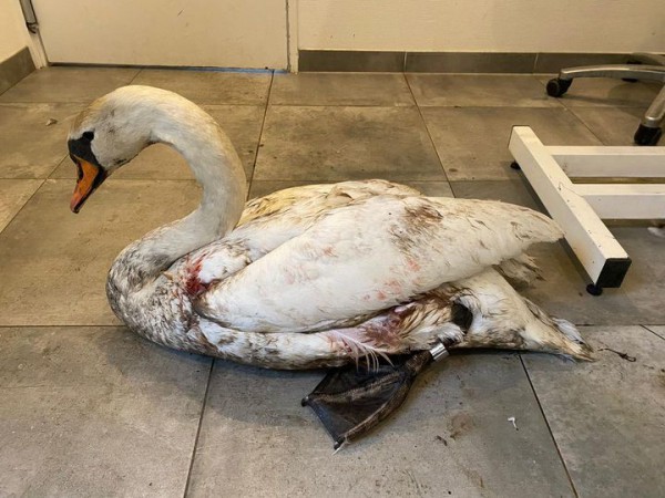 3e keer op bezoek 3e keer op bezoek