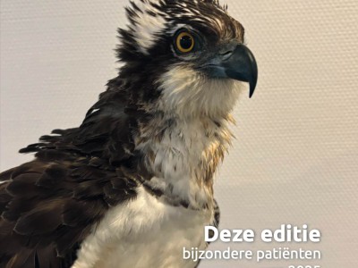 Nieuwe magzine is uit!