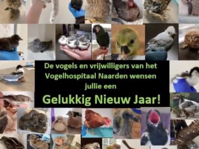 Nieuwjaarswens Nieuwjaarswens