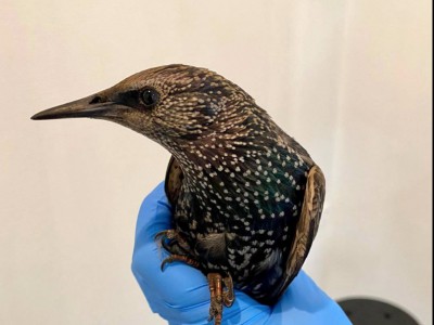 Patiënt nr 8000! Patiënt nr 8000!