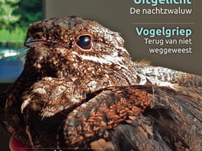 Nieuw magazine