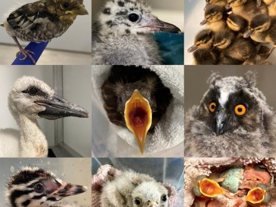 Word jij onze vrijwilliger? Word jij onze vrijwilliger?