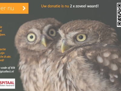 Donatie-verdubbelaar Donatie-verdubbelaar