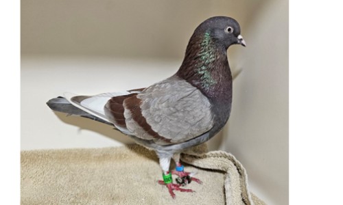 191223SD001 191223SD001