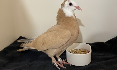 290325WI072 290325WI072